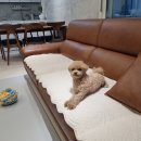 빈티지코너집