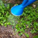 선우정경로당 이미지