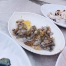 이씨횟집 네이버블로그