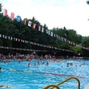 금원수목원수영장 이미지