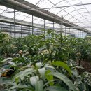 소랑호젠 이미지