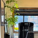 나우피티 스튜디오 이미지