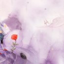 낭만지구인 이미지