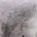 원광대학교 동서보완의학대학원 이미지