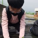 흥성농장 이미지