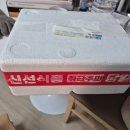 황금떡보 | 성주 참외가 떡이 되다니! 요푸릇 황금꿀참외떡 후기