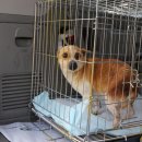 마리농장 이미지