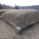 죽정최유경묘역 Daum카페