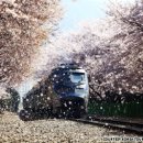 (유)아름다운관광여행사 이미지