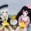몽요요