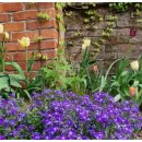 한옥마을 화장실 이미지