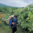 간월민박 이미지