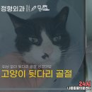 문산 동물병원 이미지