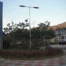 배알도수변공원 이미지