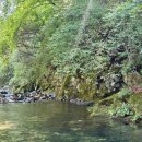 명암539펜션 이미지