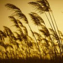 거기에/거기에서 이미지