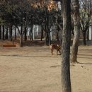 학운공원 이미지