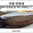 안동관 이미지