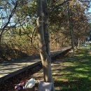 경포호수 4 이미지