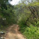 남면농장 이미지