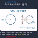 금호안경원 | 14개월동안 호야 마이오스마트 사용하고 재구입 근시억제렌즈 초등학교2학년 제작후기_금남시장 금호안경원