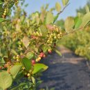 건희농장 이미지