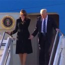 손여사네 이미지