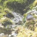 고인돌 박물관 이미지