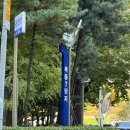 목동역 4번출구 | [서울] 목동 따뜻하고 코지한 감성카페 '히피스케빈' 목동역 카페 추천