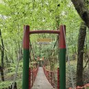 꽃무릇공원 이미지