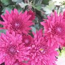 월진경로당 이미지