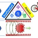 현대1번약국 이미지