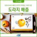 [신안 섬드리 도라지 배즙] 기관지 건강 보약! 국내산 배즙 추천👍