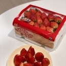 쌍용자동차㈜ 서울서비스센터 | 2026 애슐리퀸즈 딸기축제 내돈내산 후기｜신풍점 런치리뷰