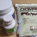 만지 농장 이미지