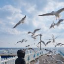 삼사 바다산책로 이미지