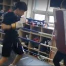 복서(BOXER) 삼성센터 네이버블로그