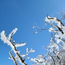 3.1절 만세 가지산 눈산행 만세 이미지