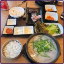 양지위생 이미지