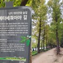 하늘공원(하부) 이미지