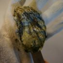 아중백제약국 이미지