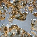 잭니클라우스워커힐골프센터 이미지