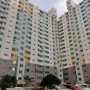 로젠치과의원 Daum카페