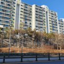 보세온누리약국 이미지