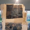 천아트:꽃으로 물들이다 이미지