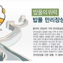 밥풀과학 이미지