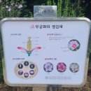 무궁화테마파크 이미지