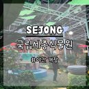 한국수소(주) | 세종 가볼만한 곳 국립세종수목원 야간개장 후기