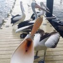 하버타운 이미지