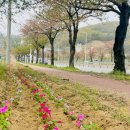 탕정면 삼성로 이미지